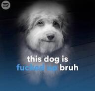 dog meme // 680x655 // 29KB